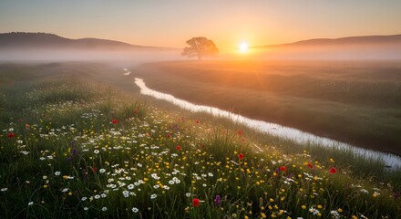 Fototapeta premium Sunrise over a field of flowers.