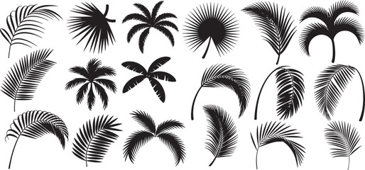 collection of tropical palm leaf silhouettes set, various types of tropical and exotic plant foliage, such as coconut tree leaves and fan palm leaves. vector illustration © shahzad