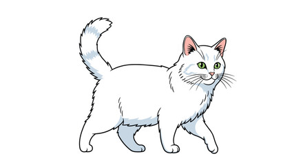 Fototapeta premium Elegant long-haired white cat with green eyes and a fluffy tail walking gracefully across a white background.