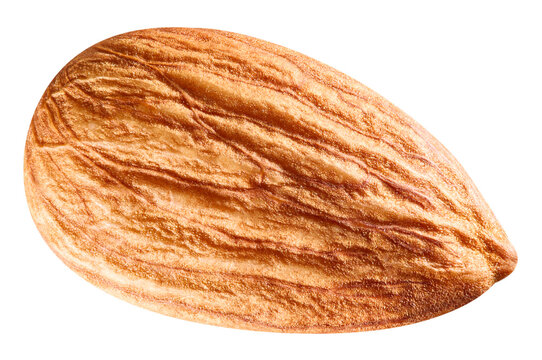 Single almond nut isolated white background