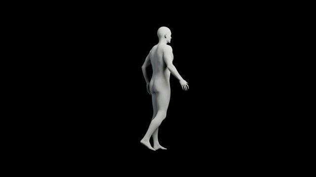 Mannequin figure standing front view