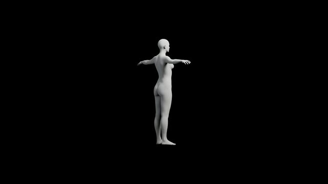 3D rendered figure model in T-pose on black background