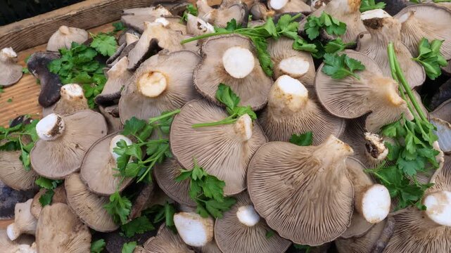 Earthy fresh mushrooms on display at a traditional Roman fruit and vegetable market, highlighting local Italian produce culture and the beauty of natural organic food.