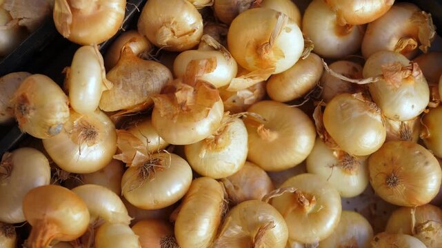 Golden and purple onions piled high at a bustling Italian street market, a staple of Mediterranean cooking and the aromatic foundation of countless beloved Italian recipes.