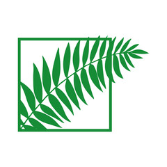 Logo paraíso tropical. Dibujo minimalista de la silueta de la hoja de una palmera, asomando de un marco cuadrado con líneas de color verde  © teracreonte