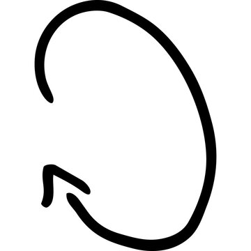 Hand Drawn Circular Return Arrow Icon Representing Backward Navigation and Undo Action