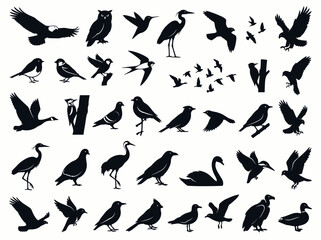 Fototapeta premium Set of various bird silhouettes