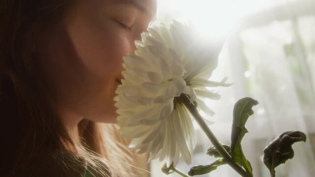 Side view close up shot of Caucasian young woman smelling white aster flower blissfully against window at home, scene lit with dreamy hazy lighting, copy space