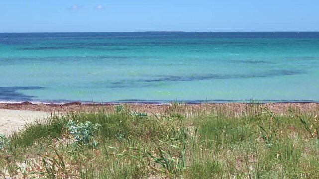 Coastal dunes meeting turquoise ocean water under blue sky