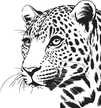 A detailed illustration of a leopard's head with a calm demeanor