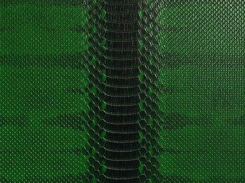 Luxury Green Python Leather Texture Seamless Abstract Background