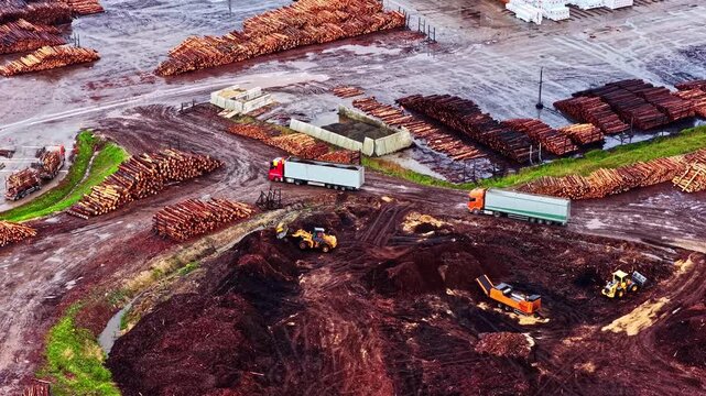 Timber processing activities with trucks and machinery at Stora Enso Latvija Sawmill. Ideal for industrial and environmental documentaries.
