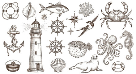 nautical icons set, lighthouse, sea creatures, navigation symbols, beach background © Adam