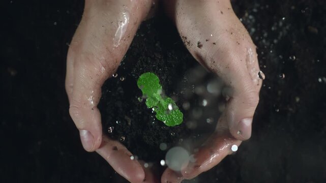 Woman hands holding green seedling. Water drops falling on a sprout leaves over soil in slow motion. New eco life and waste concept. Plastic free. Earth day. ESG nature environment save. Top view