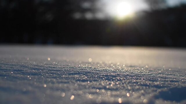 Close up of sparkling frost on the ground during sunrise.
