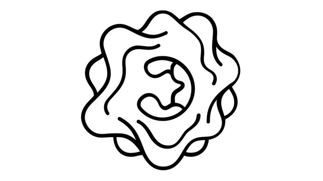 White blood cell amoeba line vector icon illustration showing internal nucleus and organelles for medical biology research science healthcare immunology study isolated on clean background design