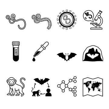 Ebola Virus Structure and Transmission Vector Vector Icon Set