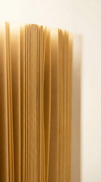 Macro close up of golden book pages edges texture