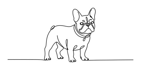 Fototapeta premium Minimalist line art drawing of a french bulldog standing, simple and clean illustration.
