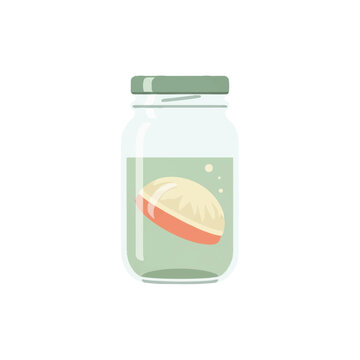 A single glass jar containing a floating kombucha SCOBY pellicle with minimal liquid level, viewed from the side. Soft sage green and cream color palette. High-key lighting, clean aesthetic,