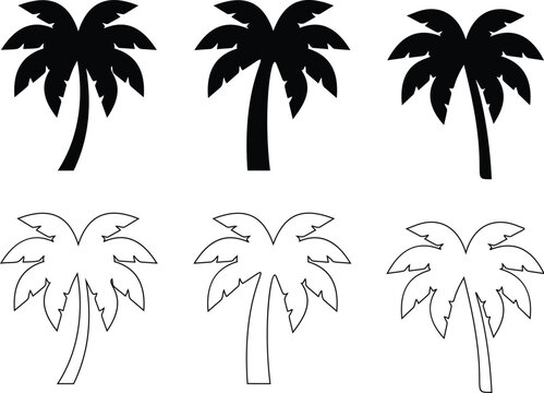 Palm tree silhouettes set in black and outline styles for tropical vector design