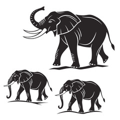 Black Elephant Silhouettes Vector Illustration Set On White Background © Apurba