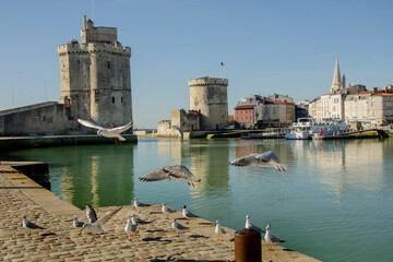 la rochelle - 229 © pass