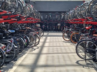 A striking symmetric view looking down an aisle of double-decker bicycle parking racks in Rotterdam. A powerful metaphor for structural organization, strength, and green urban planning. © Shira GoralyHochberg