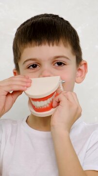 A child at the dentist with a model of a jaw. Selective focus.