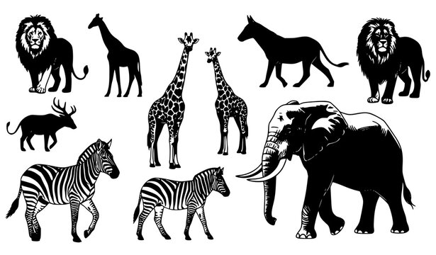 Creative African safari silhouette vector pack with lion elephant giraffe and zebra animal graphics