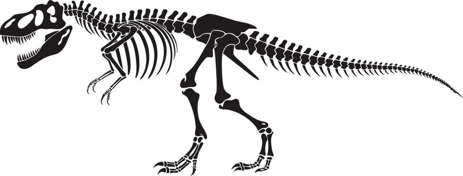 Black and White Dinosaur Skeleton Outline Illustration of Tyrannosaurus Rex