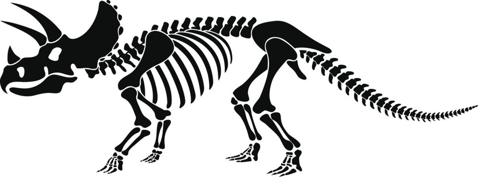 Dinosaur Skeleton Pair Walking Side View