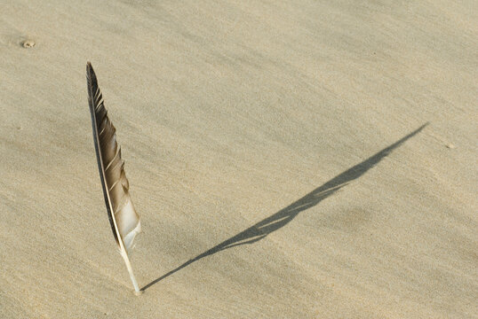 plage018