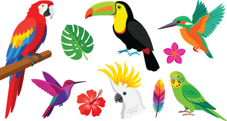 Exotic Tropical Birds Vector Element Set Featuring Scarlet Macaw Parrot Toucan Kingfisher Hummingbird Cockatoo Budgie Monstera Leaf And Hibiscus Flowers © Lal