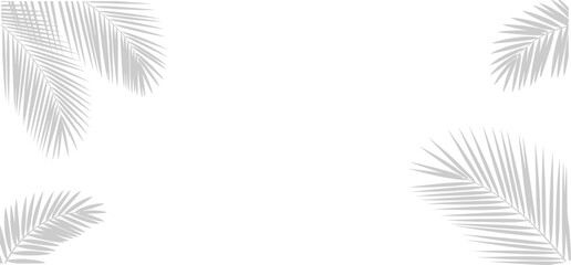 Tropical palm leaf shadow overlay, Black and white coconut leaf blur shadow overlay summer decorative element design. Vector illustration. © shahzad