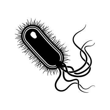 Black and white prokaryotic bacteria cell icon with flagella, minimalist vector illustration.
 
