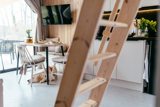 Modern Tiny House Interior With Served Breakfast And Resting Dog