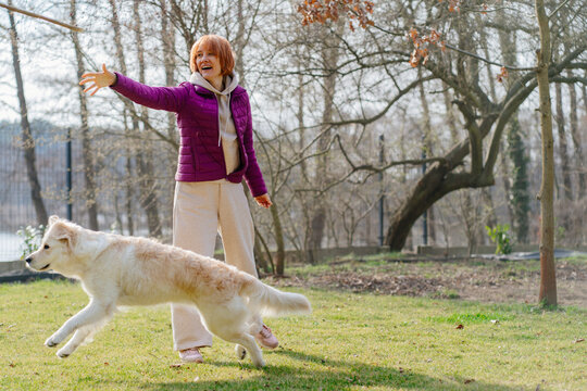 Mature Woman Playing Fetch With Golden Retriever In Garden