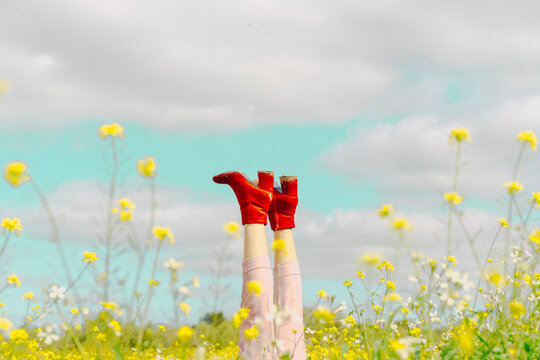 Legs of a woman wearing red ankle boots lying in a flower meadow in spring