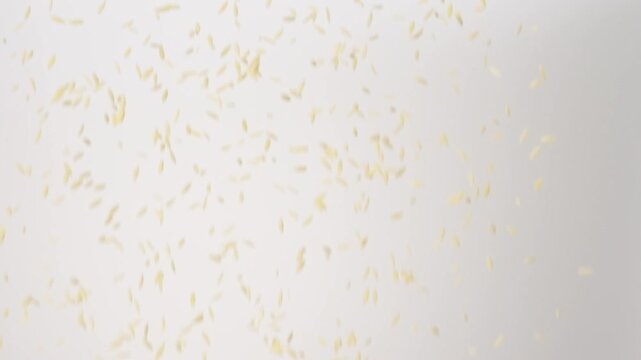 Dry uncooked Orzo raining down on a white backdrop in slow motion close up macro.