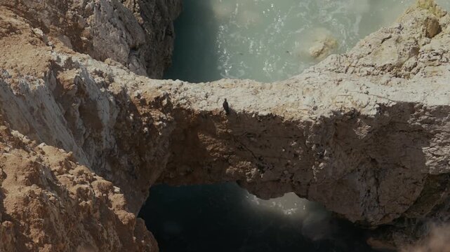 Bird perched on natural stone arch over clear ocean water