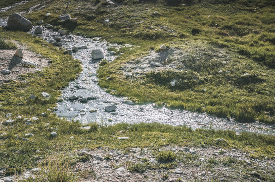 A mountain stream flows down a slope among green grass, a small mountain river in sunny summer weather