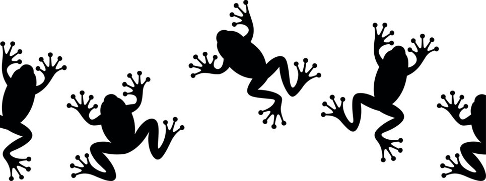 Exotic tree frogs silhouette seamless border pattern vector illustration with black amphibian icons isolated on white background