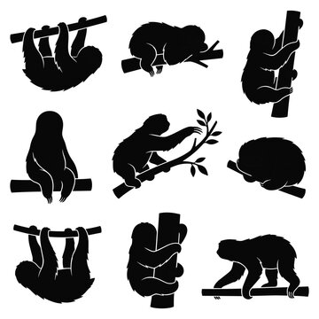 Set of Nine Sloth Silhouettes in Different Poses, Hanging and Climbing on Branches, Isolated on White Background