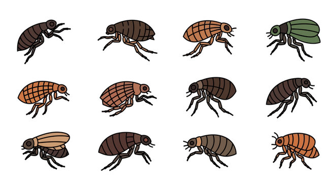 Collection of various flea and tick illustrations in a hand-drawn style.