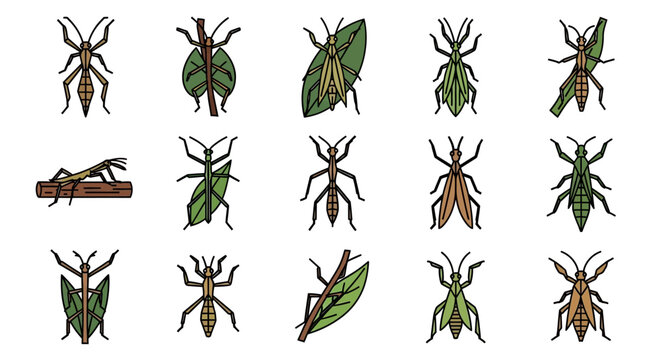 Collection of various stick insects and leaf insects in different poses and colors.