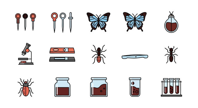 Entomology laboratory tools and insect specimens for scientific study.