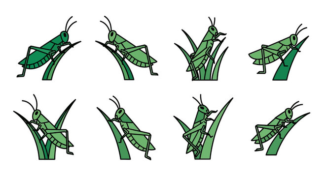 Grasshoppers in various poses on green grass blades.