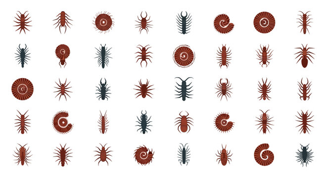 Various insects and bugs in a flat style illustration.