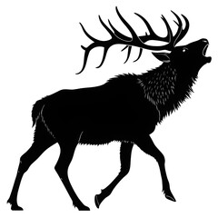 silhouette of a deer © sumera